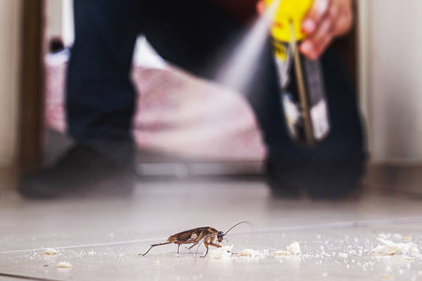 Best Pest Control for Restaurants  in Country Clu, MO